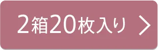 20枚入り×2箱