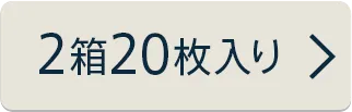 20枚入り×2箱