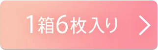 1箱6枚入り