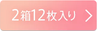 2箱12枚入り