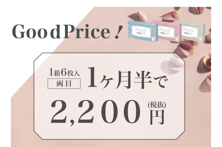大屋夏南イメージモデル エルージュ -eRouge|Goodprice! 1箱6枚入 両目 1ヶ月半で2,200円(税込)
