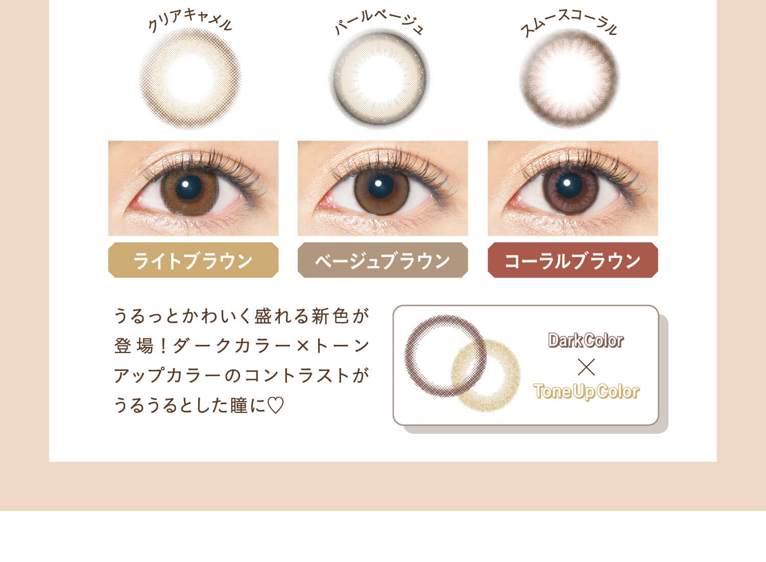 カラコン Ever Color 1day Natural -エバーカラーワンデーナチュラル|クリアキャメル パールベージュ スムースコーラル ライトブラウン ベージュブラウン コーラルブラウン うるっとかわいく盛れる新色が登場! ダークカラー×トーンアップカラーのコントラストがうるうるとした瞳に Darkcolor×Tornupcolor