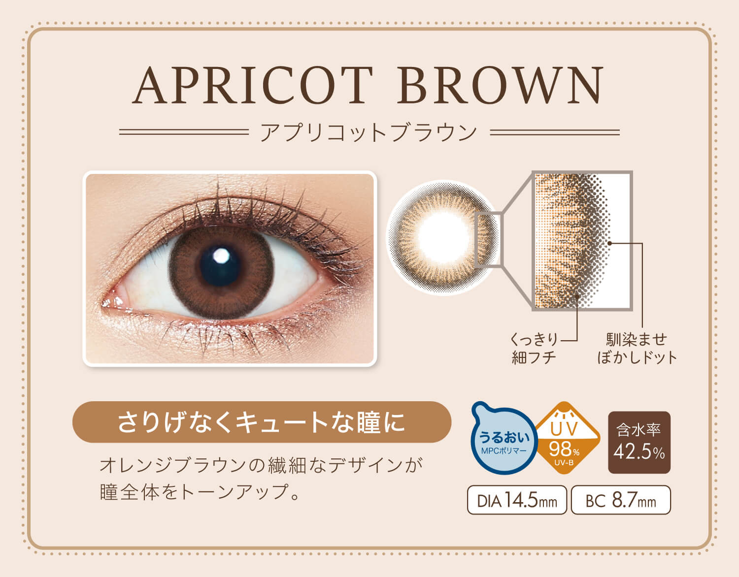 カラコン Ever Color 1day Natural -エバーカラーワンデーナチュラル|APRICOT BROWN-アプリコットブラウン NEW くっきり細フチ 馴染ませぼかしドット さりげなくキュートな瞳に オレンジブラウンの繊細なデザインが瞳全体をトーンアップ。 うるおいMPCポリマー UV98% UV-B 含水率42.5% DIA14.5mm BC8.7mm