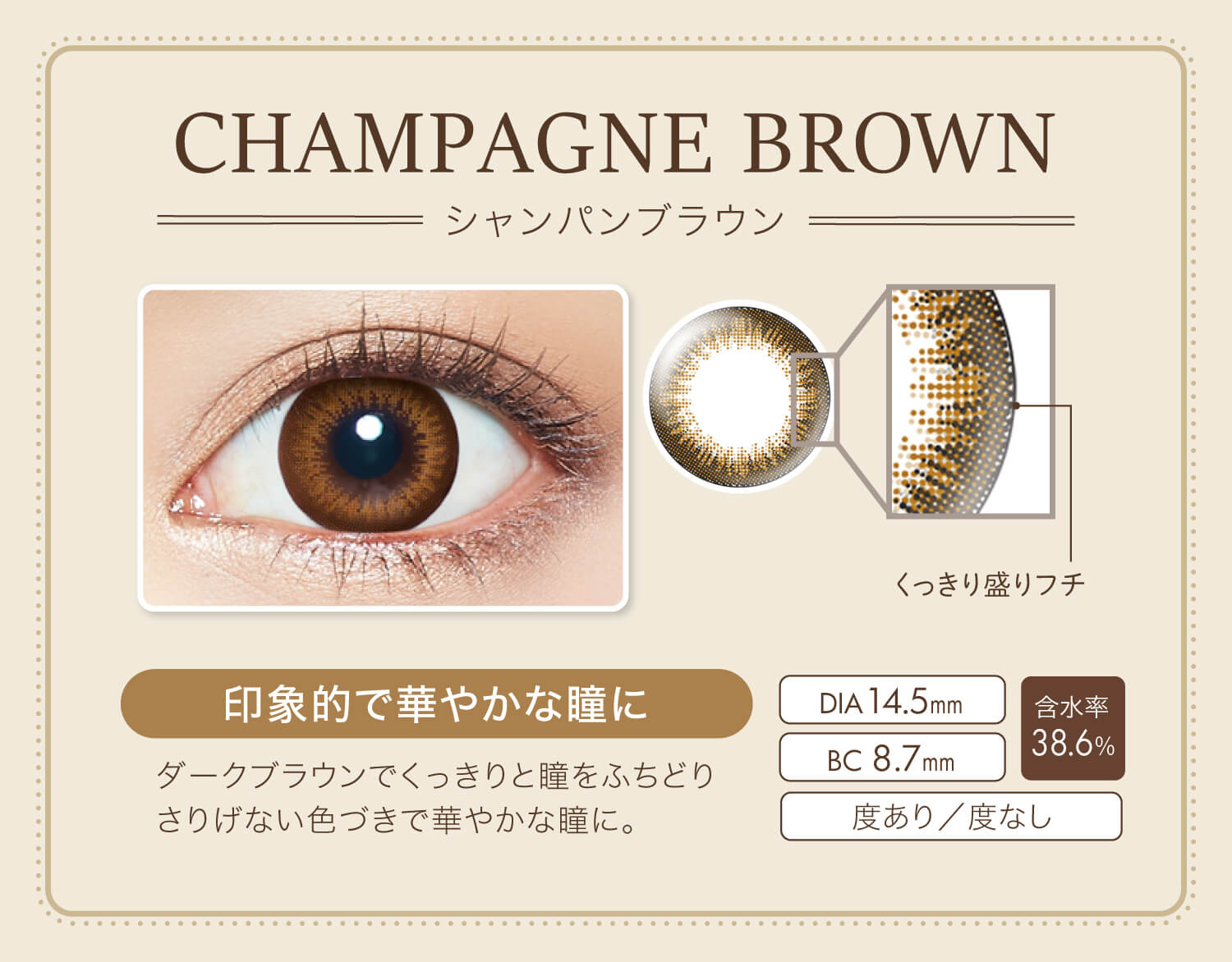 カラコン Ever Color 1day Natural -エバーカラーワンデーナチュラル|CHAMPAGNE BROWN-シャンパンブラウン くっきり盛りフチ 印象的で華やかな瞳に ダークブラウンでくっきりと瞳をふちどりさりげない色づきで華やかな瞳に。 DIA14.5mm BC8.7mm 含水率38.6% 度あり/度なし