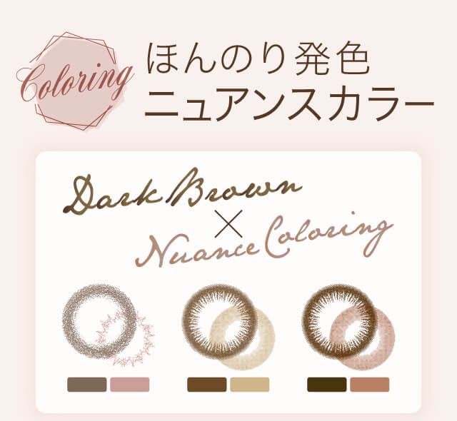 沢尻エリカイメージモデルカラコン Ever Color 1day Natural -エバーカラーワンデーナチュラル|Coloring ほんのり発色ニュアンスカラー Dark Brown × Nuance Coloring