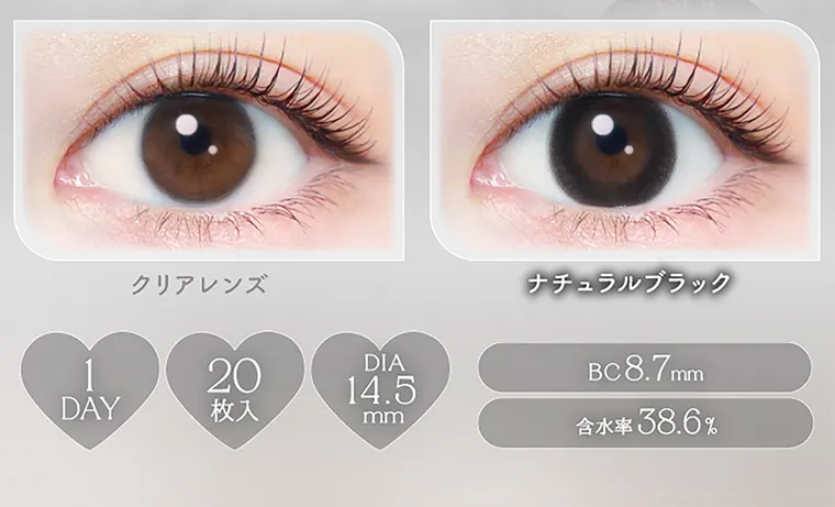 EverColor1dayNatural -エバーカラーワンデーナチュラル｜ 