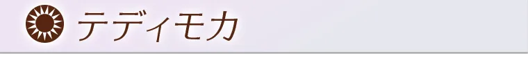 テディモカ
