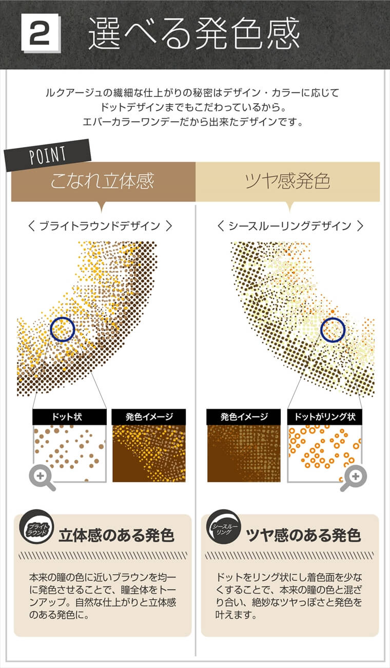 沢尻エリカイメージモデル|EverColor 1day LUQUAGE -エバーカラーワンデールクアージュ
