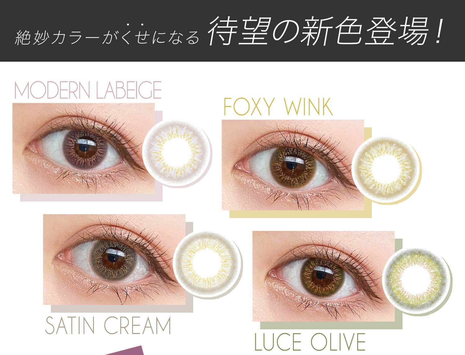 安斉かれんイメージモデルカラコン EverColor 1day LUQUAGE -エバーカラーワンデールクアージュ|絶妙カラーがくせになる 待望の新色登場! MODERN LABEIGE FOXY WINK SATEN CREAM LUCE OLIVE