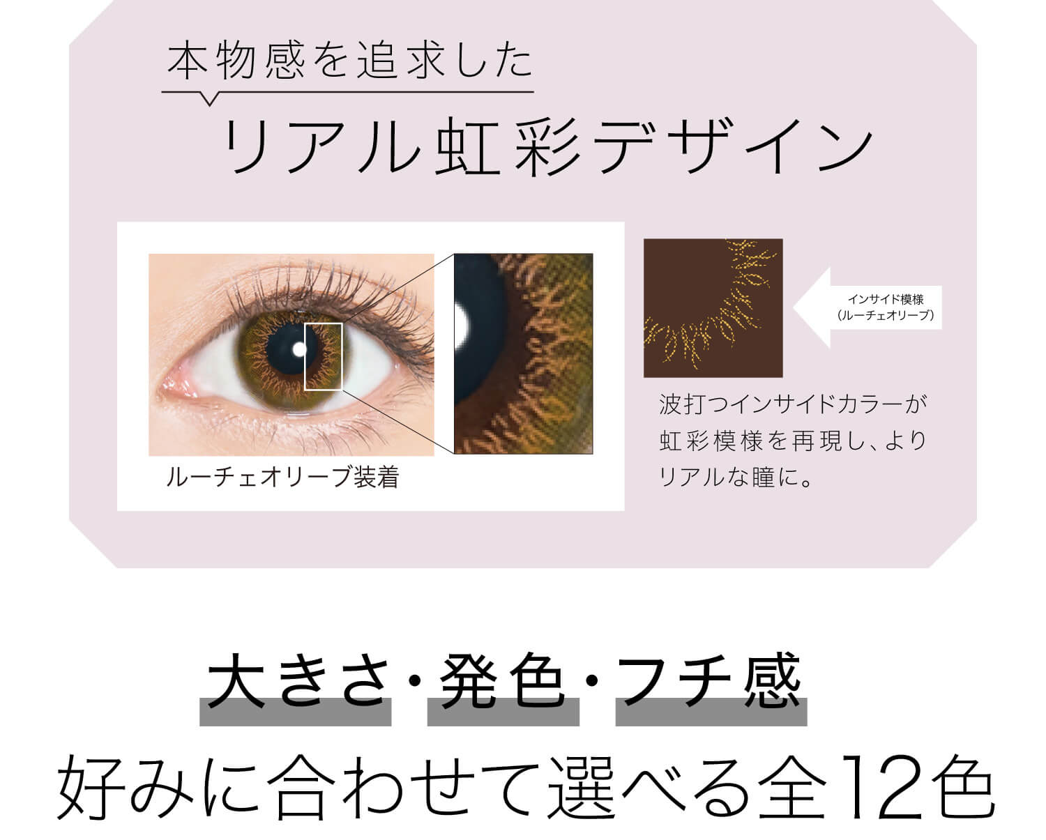 安斉かれんイメージモデルカラコン EverColor 1day LUQUAGE -エバーカラーワンデールクアージュ|本物感を追求した リアル虹彩デザイン ルーチェオリーブ装着 インサイド模様(ルーチェオリーブ) 波打つインサイドカラーが虹彩模様を再現し、よりリアルな瞳に。 大きさ・発色・フチ感 好みに合わせて選べる全12色