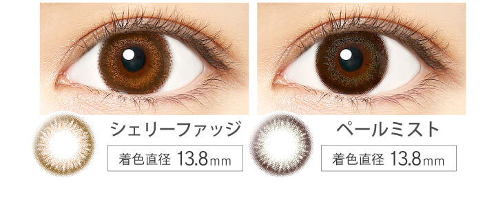 カラコン Ever Color 1day MOIST LABEL -エバーカラーワンデーモイストレーベル|ほどよく盛れる定番の直径 既存色 着色直径13.8mm
