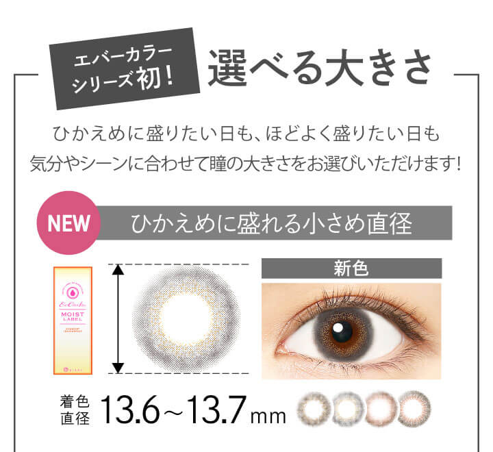 カラコン Ever Color 1day MOIST LABEL -エバーカラーワンデーモイストレーベル|