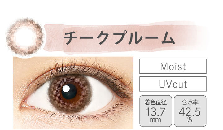 カラコン Ever Color 1day MOIST LABEL -エバーカラーワンデーモイストレーベル|チークプルーム Moist UVcut 着色直径13.7mm 含水率42.5%