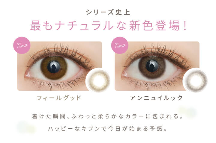 沢尻エリカイメージモデルカラコン EverColor1day Natural MOIST LABEL UV -エバーカラーワンデーナチュラル モイストレーベルUV|