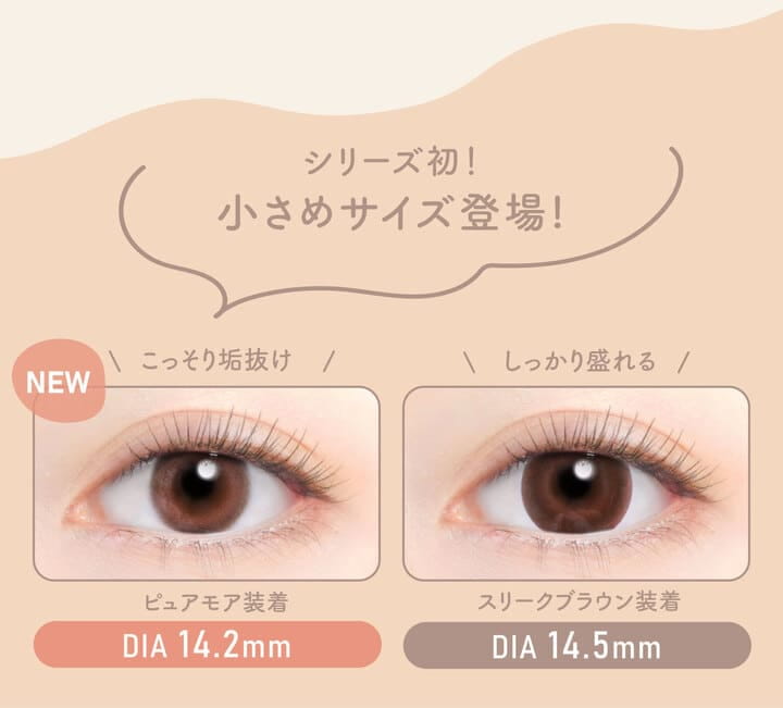新木優子イメージモデル EYE GENIC by evercolor -アイジェニックバイエバーカラー |シリーズ初! 小さめサイズ登場! NEW こっそり垢抜け ピュアモア装着DIA:14.2mm しっかり盛れる スリークブラウン装着 DIA:14.5mm