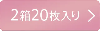 2箱20枚入り