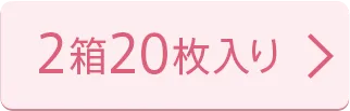 2箱20枚入り