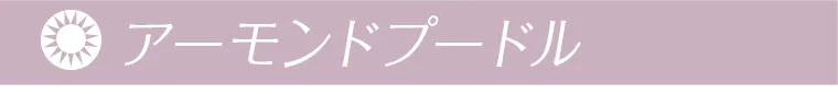 アーモンドプードル