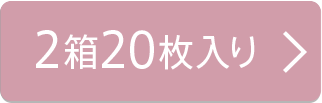 2箱20枚入り
