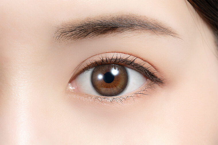 フェリアモトーリック商品画像