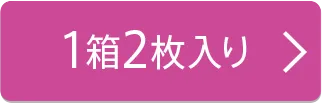 2枚入り×1箱