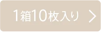 1箱10枚入り