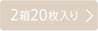 2箱20枚入り