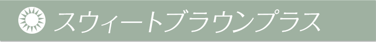 森絵梨佳イメージモデル｜LuMia -ルミアモイスチャー　スウィートブラウンプラス