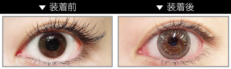 パリスヒルトンイメージモデルカラコン MAX COLOR 1DAY 1day color contact lenses FADE -マックスカラーワンデー フェード スタッフレビュー