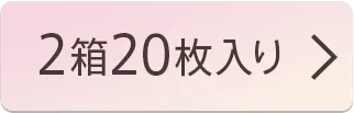 2箱20枚入り