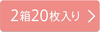 2箱20枚入り