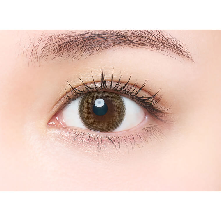 メロットトーリック商品画像