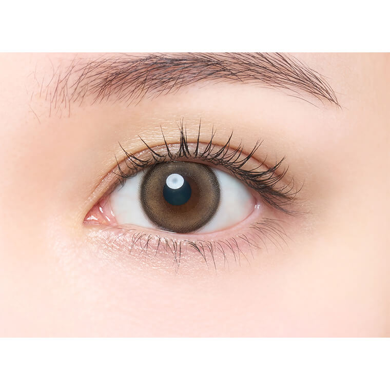 メロットトーリック商品画像