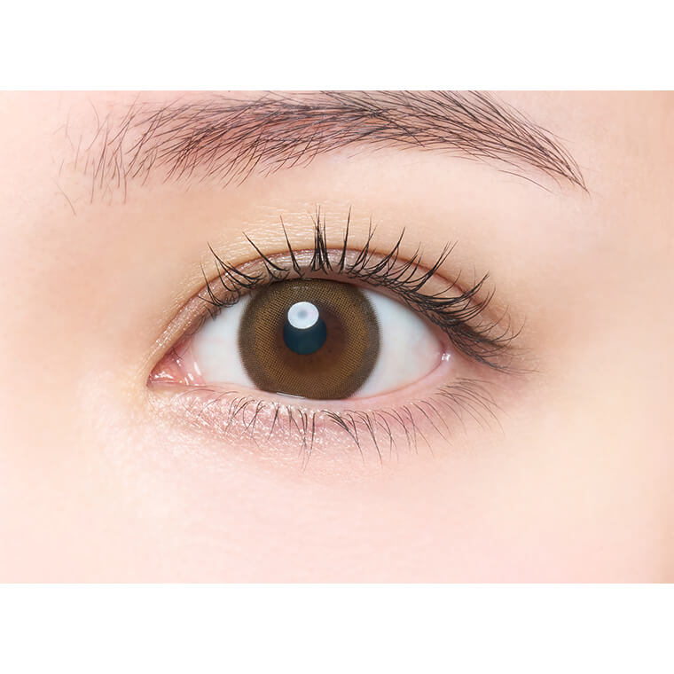 メロットトーリック商品画像