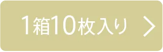 10枚入り×1箱