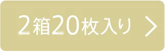 10枚入り×2箱