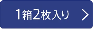 10枚入り×1箱