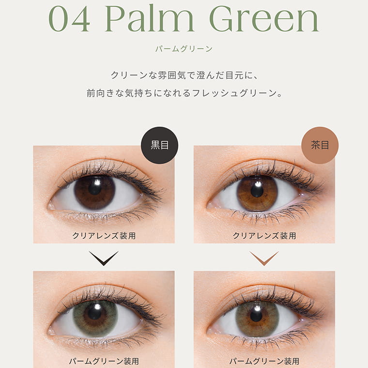 よしあき&ミチイメージモデル【perse/パース】|04 PalmGreen パームグリーン クリーンな雰囲気で澄んだ⽬元に、前向きな気持ちになれるフレッシュグリーン。 黒目 クリアレンズ装用 ヌーディーベージュ装用 茶目 クリアレンズ装用 ヌーディーベージュ装用