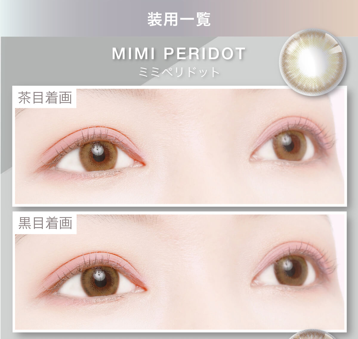 マギーイメージモデル ピエナージュミミジェム-PienAge mimigemme|装用一覧 MIMI PERIDOT ミミペリドット 茶目着画 黒目着画