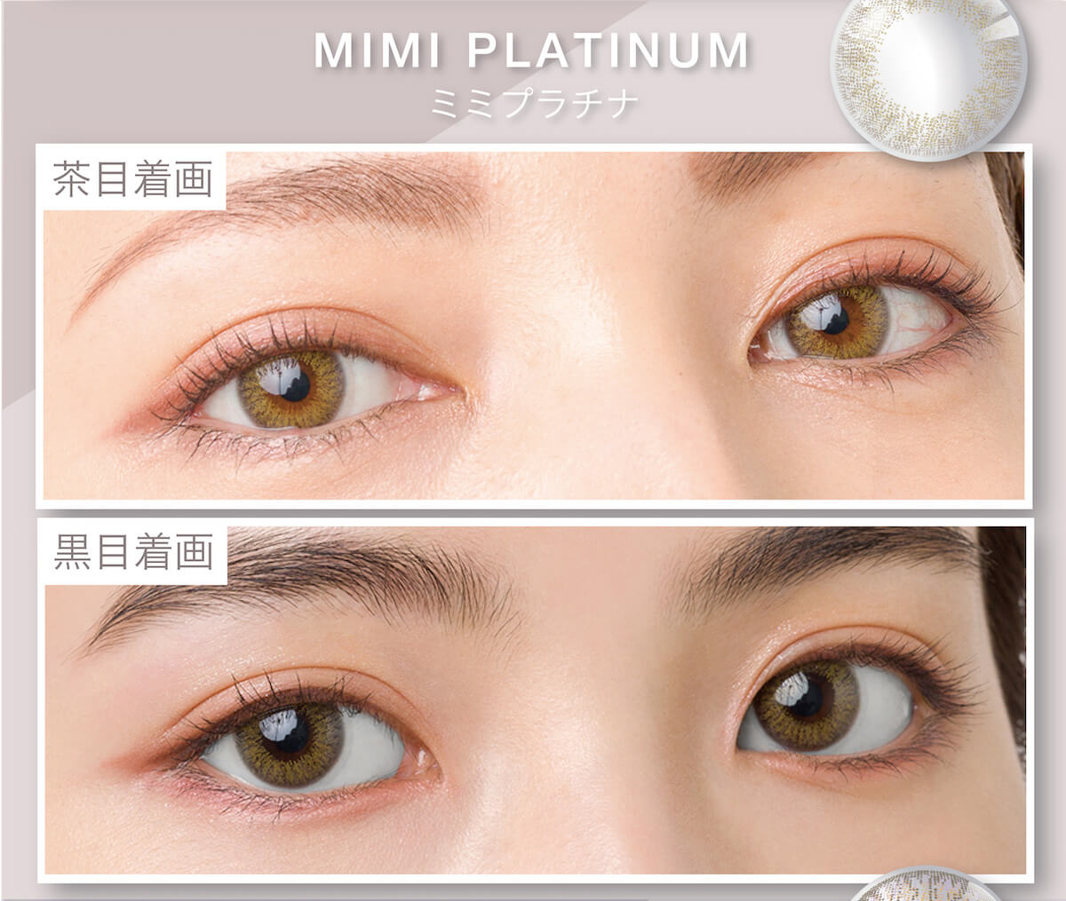 マギーイメージモデル ピエナージュミミジェム-PienAge mimigemme|茶目着画 黒目着画 MIMI PLATINUM ミミプラチナ