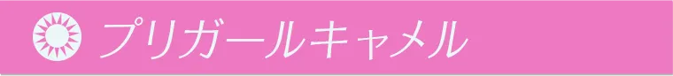 プリガールキャメル