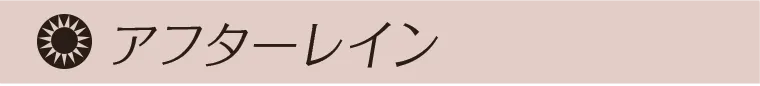 アフターレイン