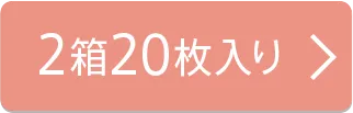 2箱20枚入り