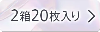 2箱20枚入り