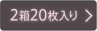 2箱20枚入り