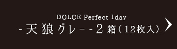 DOLCE Perfect 1day-天狼グレー-2箱（12枚入）