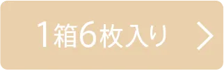 1箱6枚入り