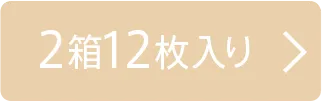 2箱12枚入り