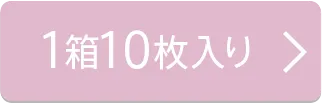 1箱10枚入り