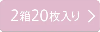 2箱20枚入り